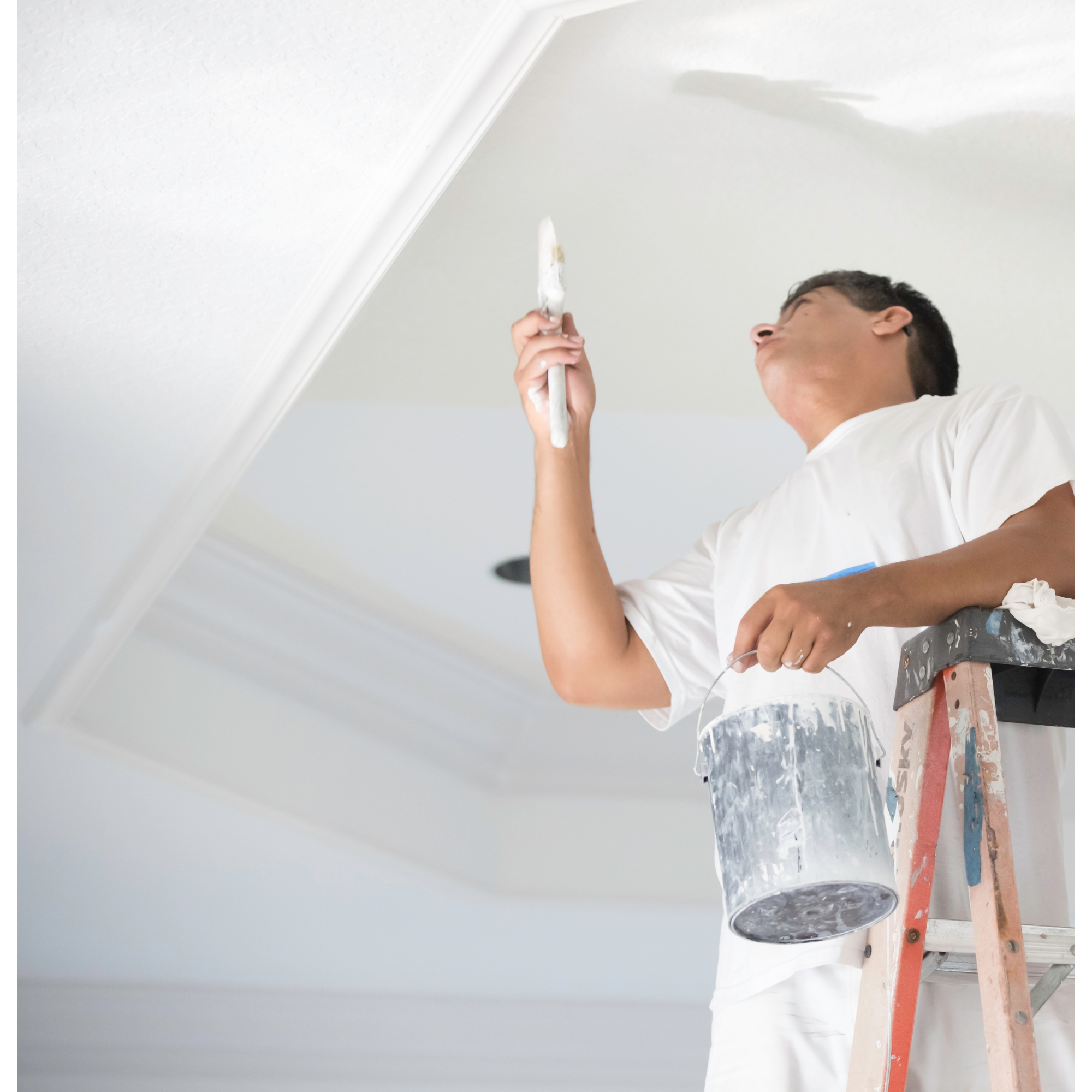 Design sans titre (30) Peinture intérieure professionnelle – ABA Finitions